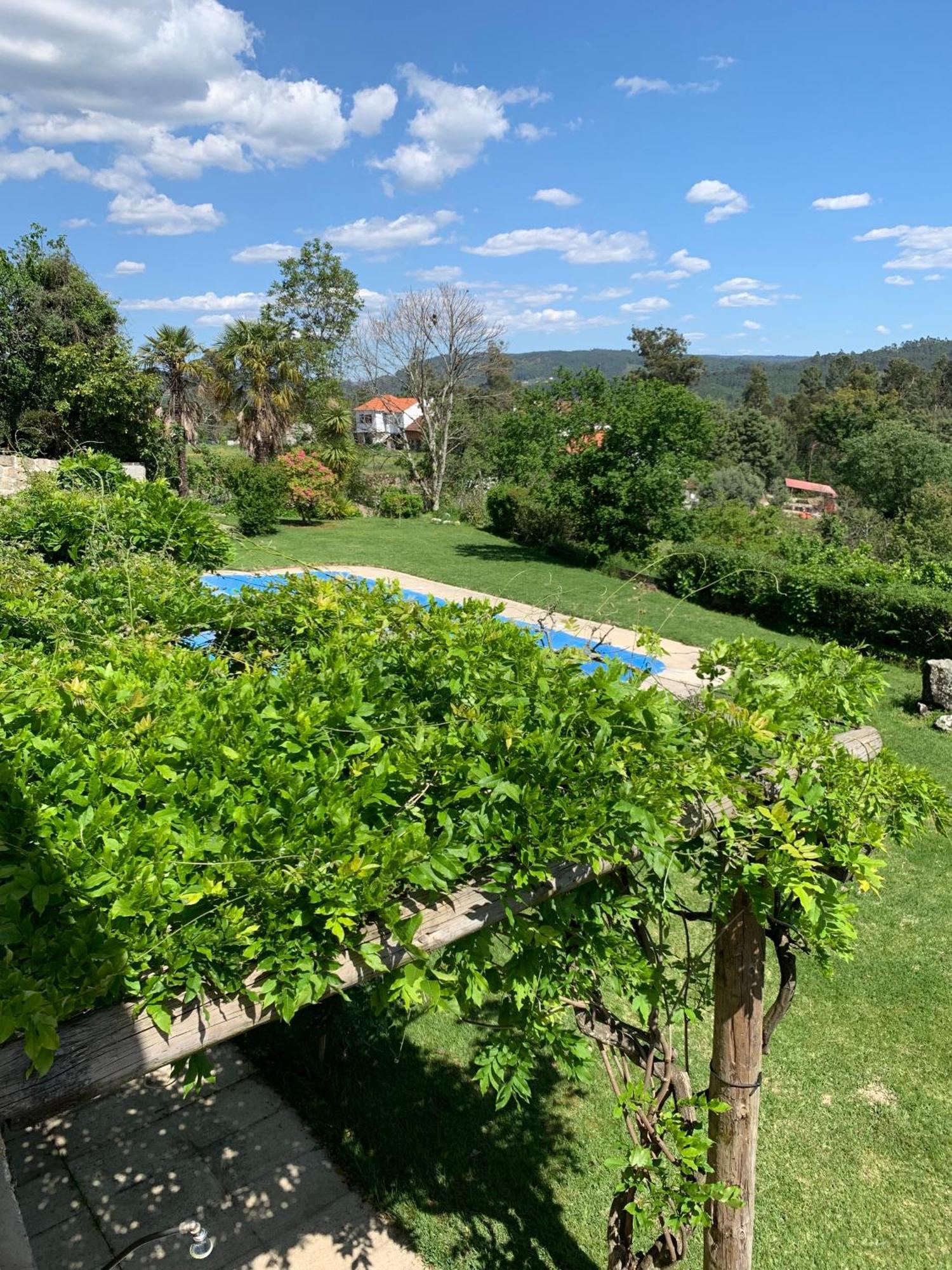 Quinta De Canhoes São Pedro do Sul Eksteriør billede