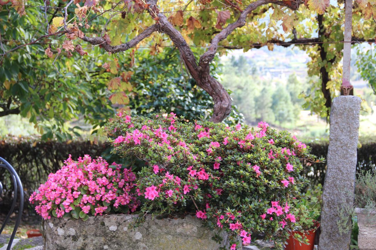 Quinta De Canhoes São Pedro do Sul Eksteriør billede